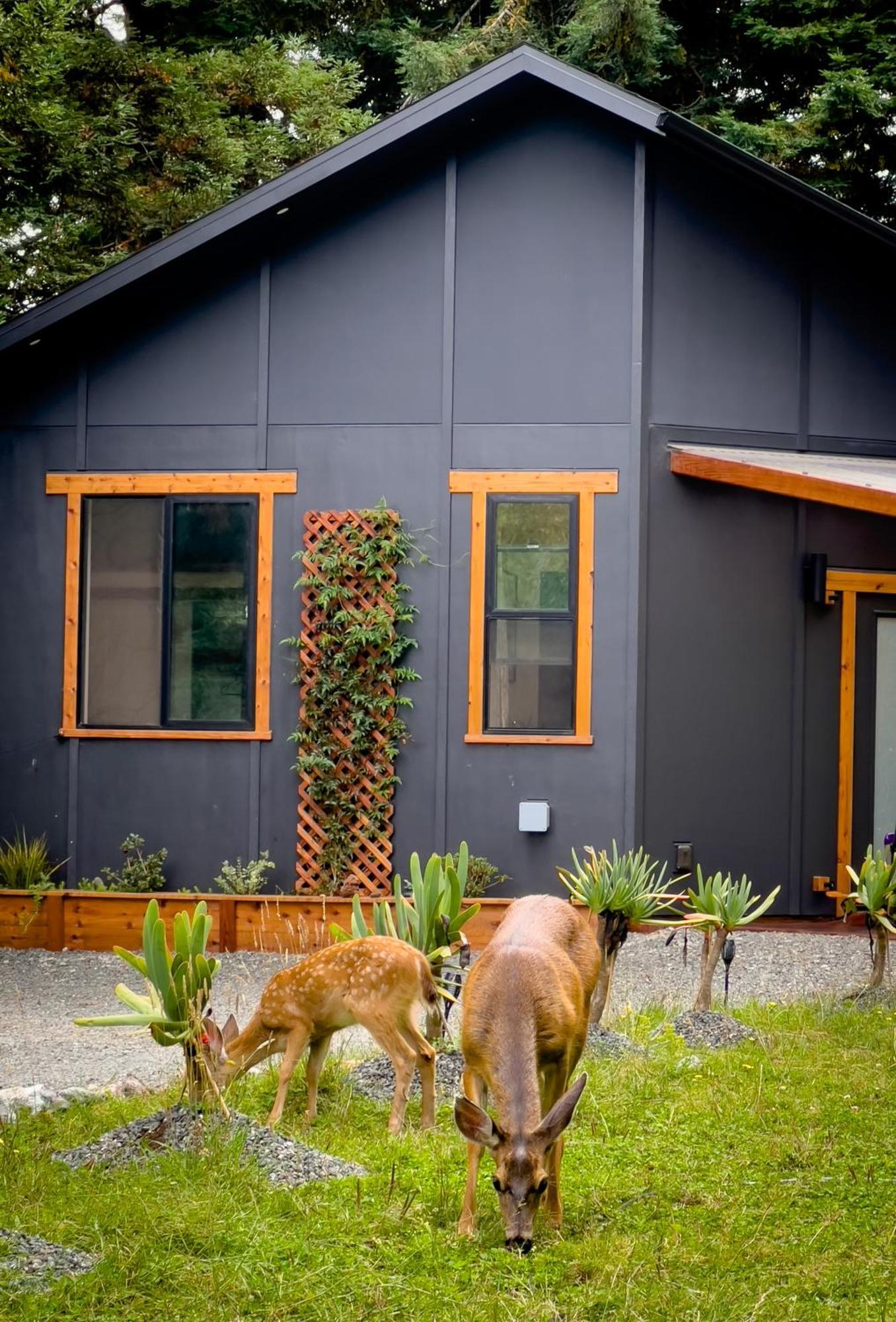 New, Modern, Country-Feel, Close To ארקטה מראה חיצוני תמונה